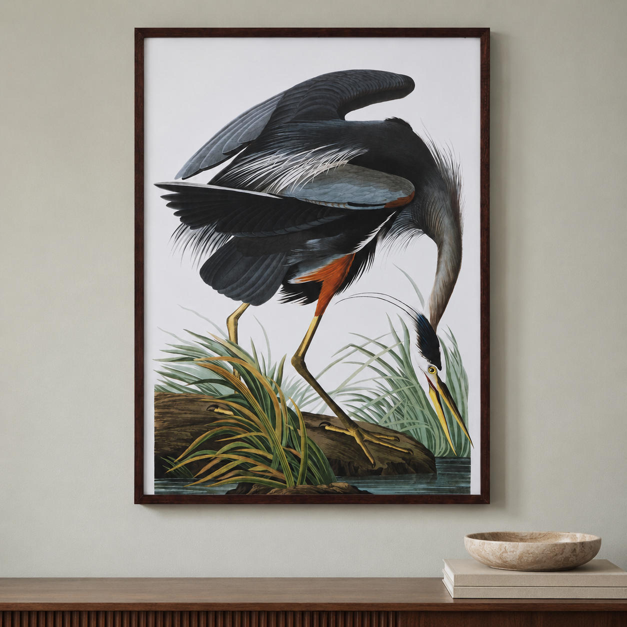 Audubon Great Blue Heron Framed Print