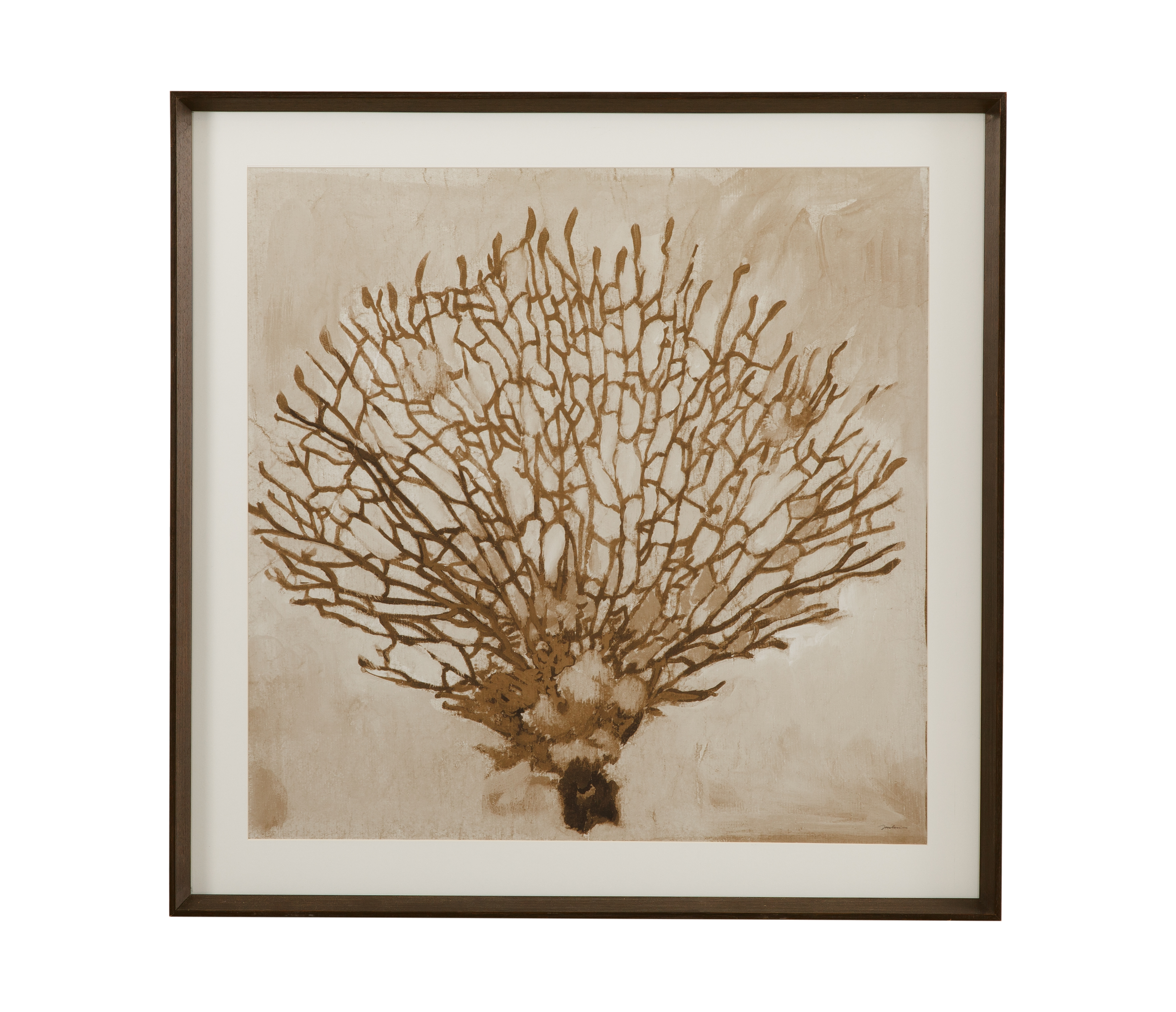 Neutral Seafan Framed Print