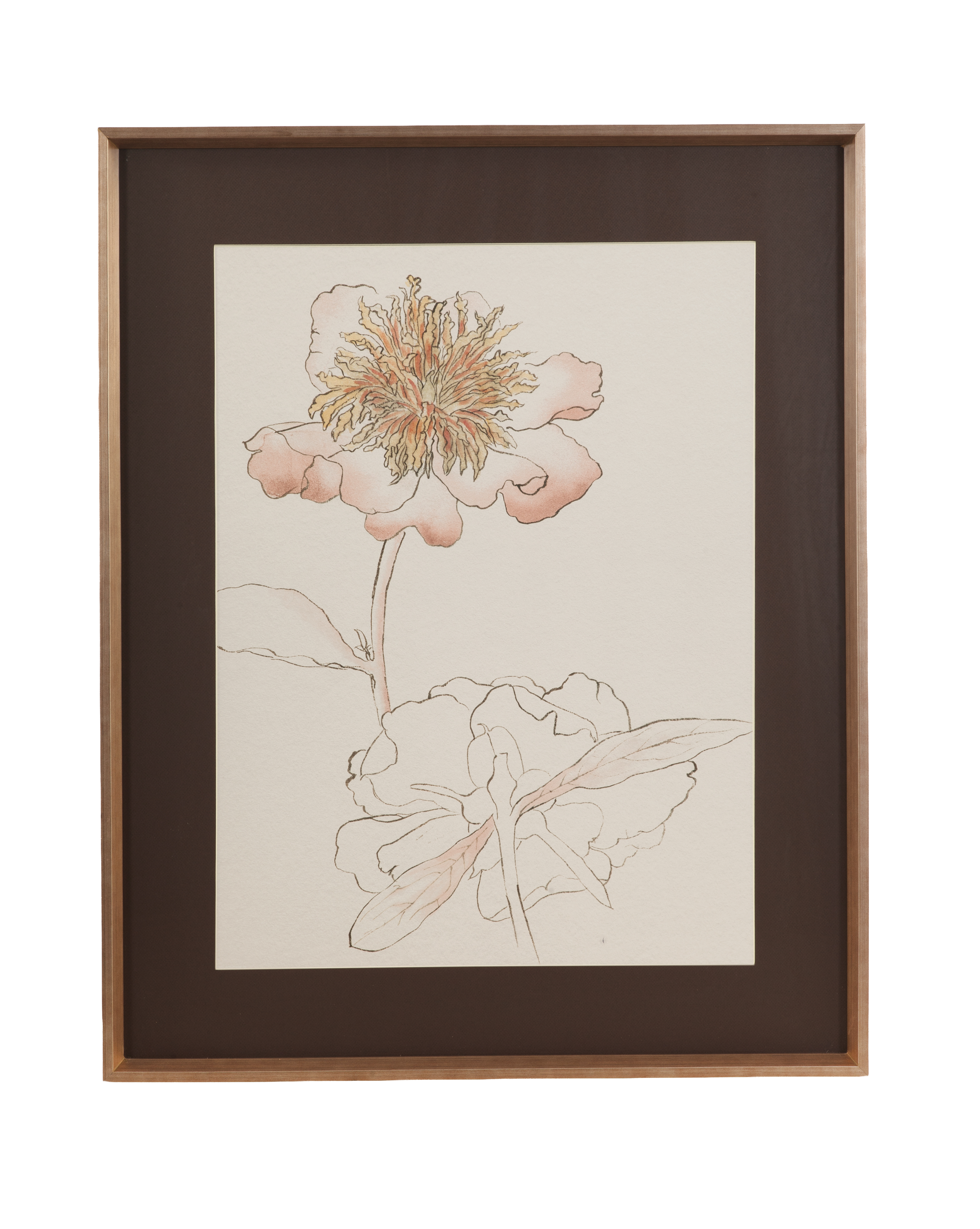 Sketchbook Blooms - Delicate Framed Print