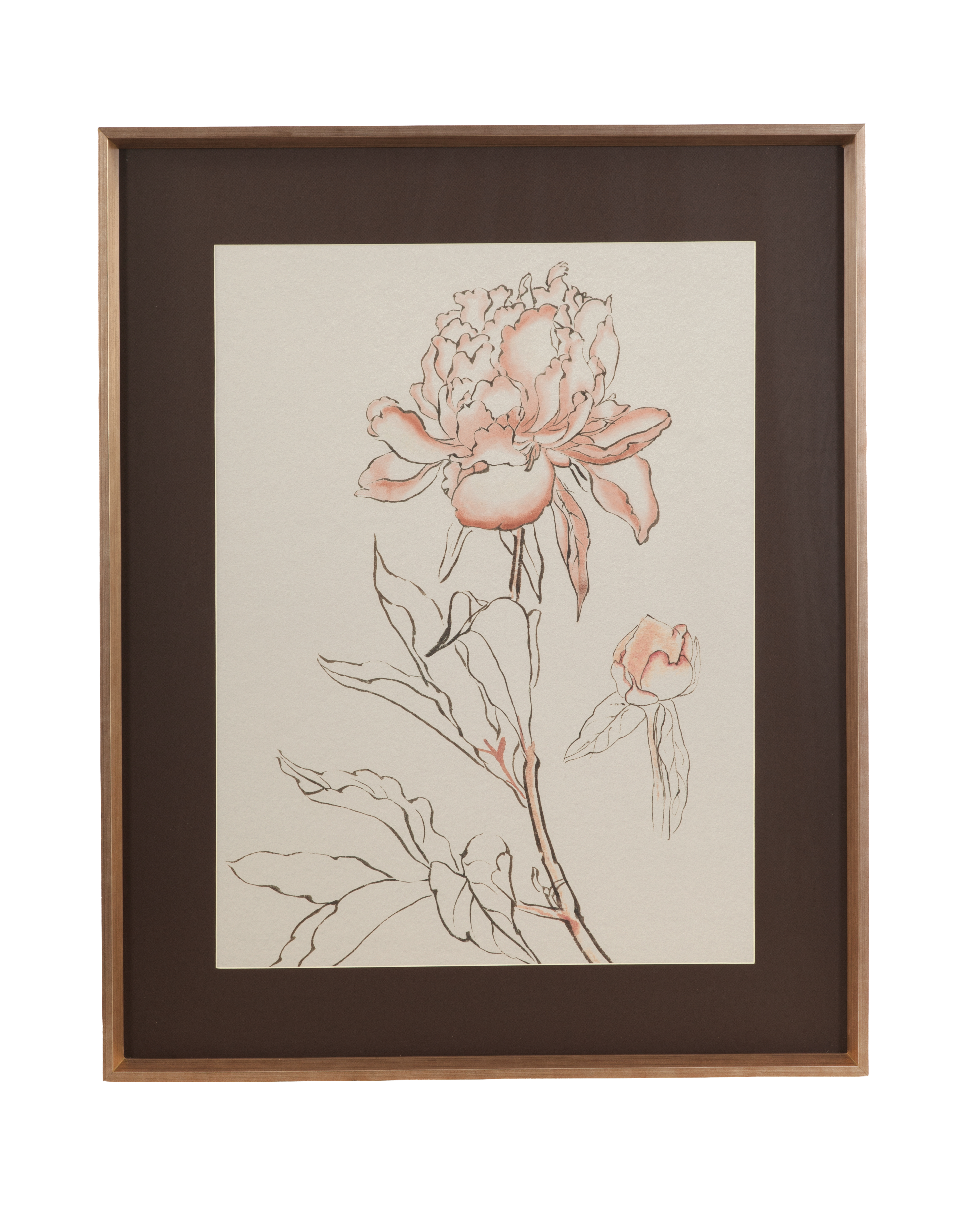 Sketchbook Blooms - Blossom Framed Print
