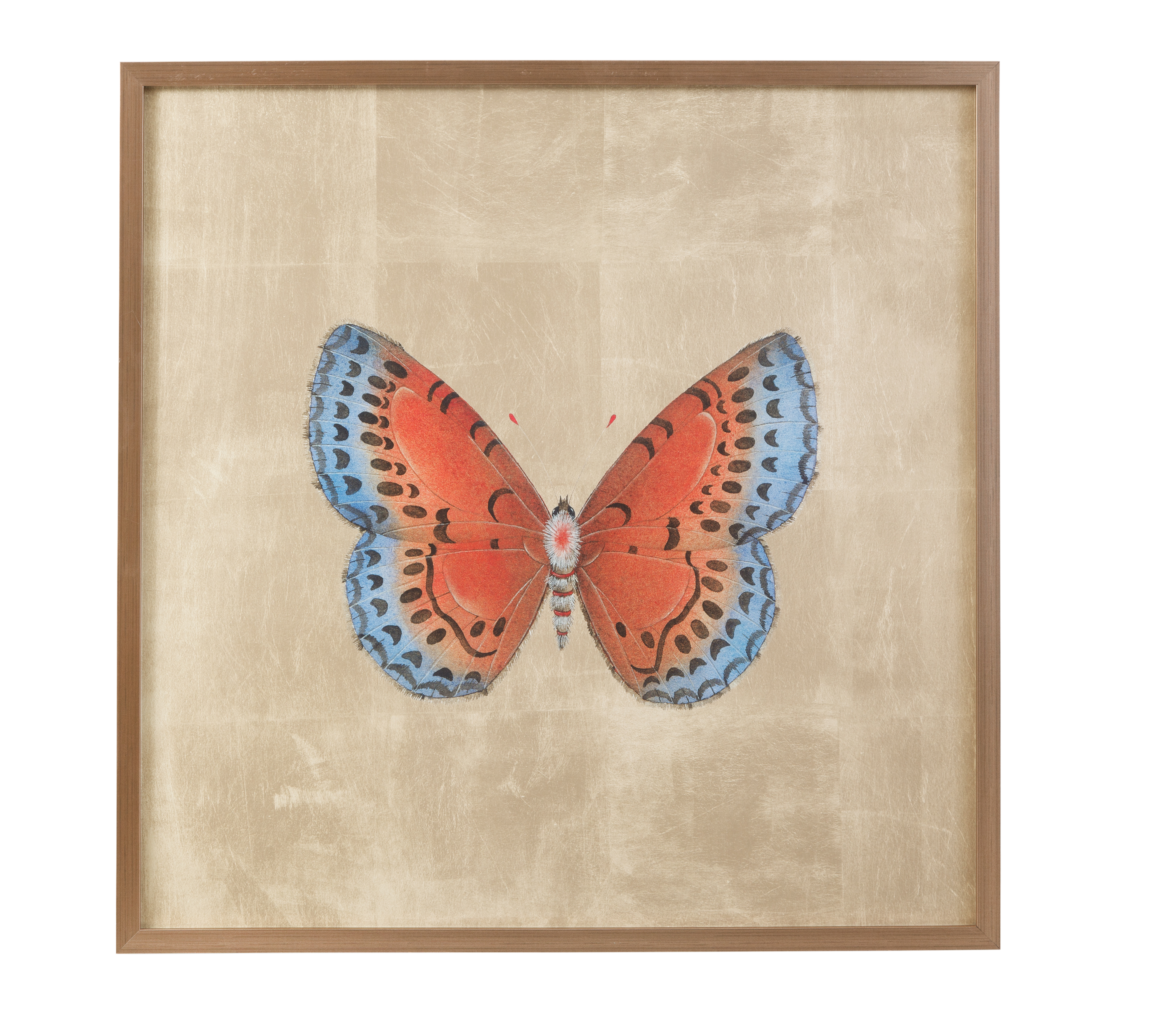 Papilio Luxe - Aestas Framed Print