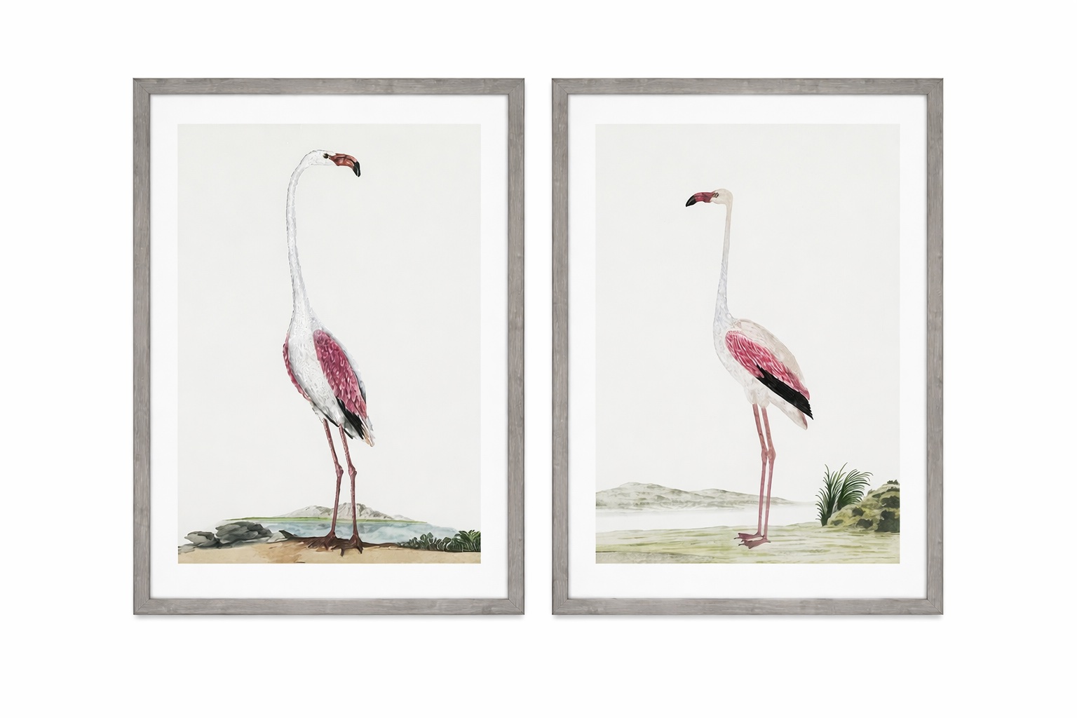 Vintage Flamingo Framed Print s/2, sold individually