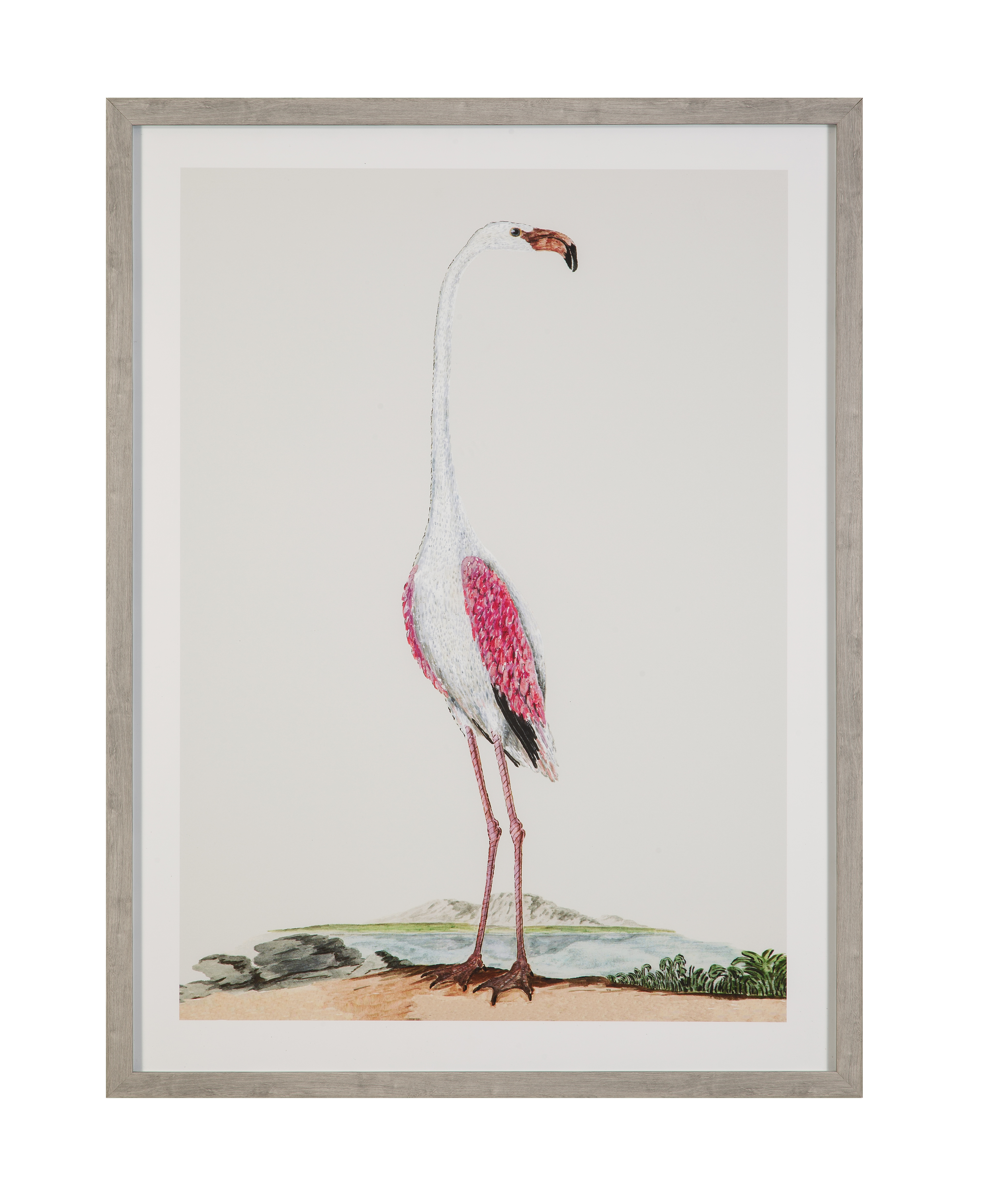 Vintage Flamingo I Framed Print