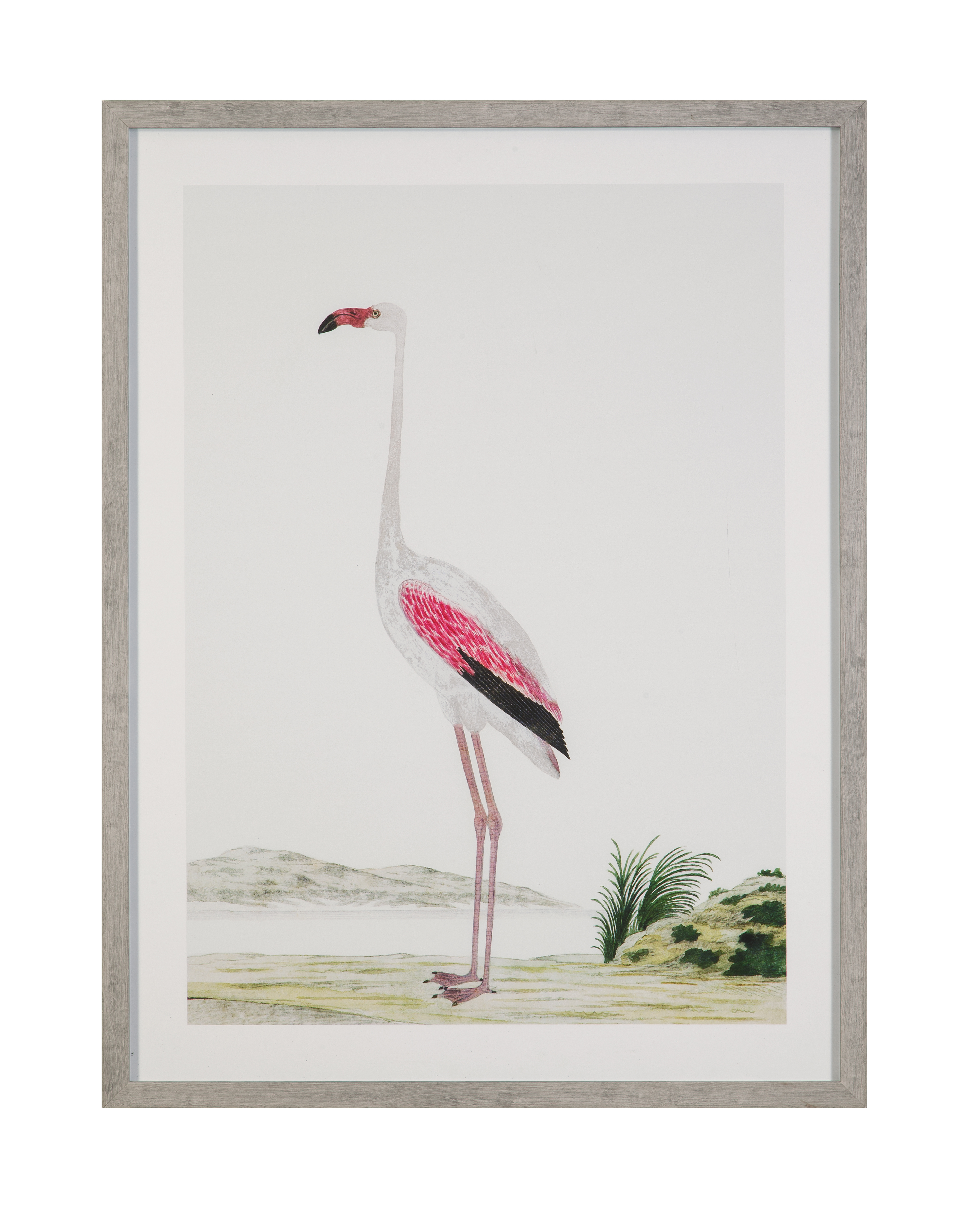 Vintage Flamingo II Framed Print