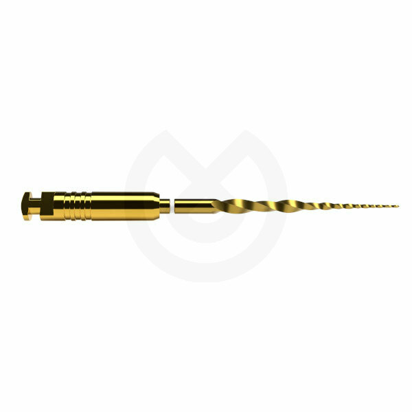 Protaper Ultimate SX 19mm – DENTSPLY MAILLEFER