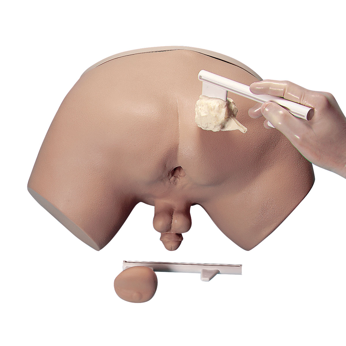 Simulator för prostataundersökning