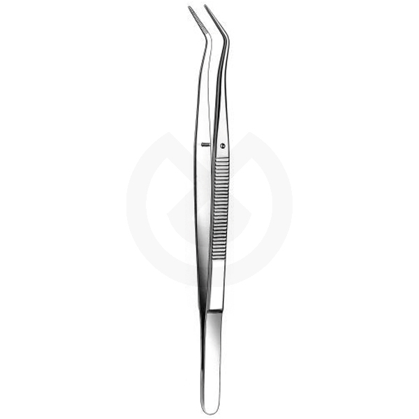 Serrerade Merian-pincett 773c/2 – 15 cm – CARL MARTIN