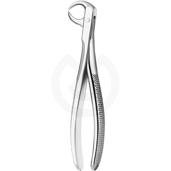 Tång n.86c. lägre molar – papegojanäbb – CARL MARTIN