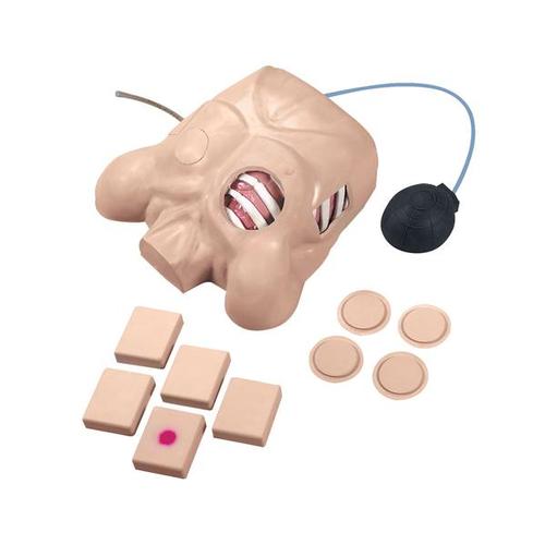 Life/form® Brystdrænmanikin
