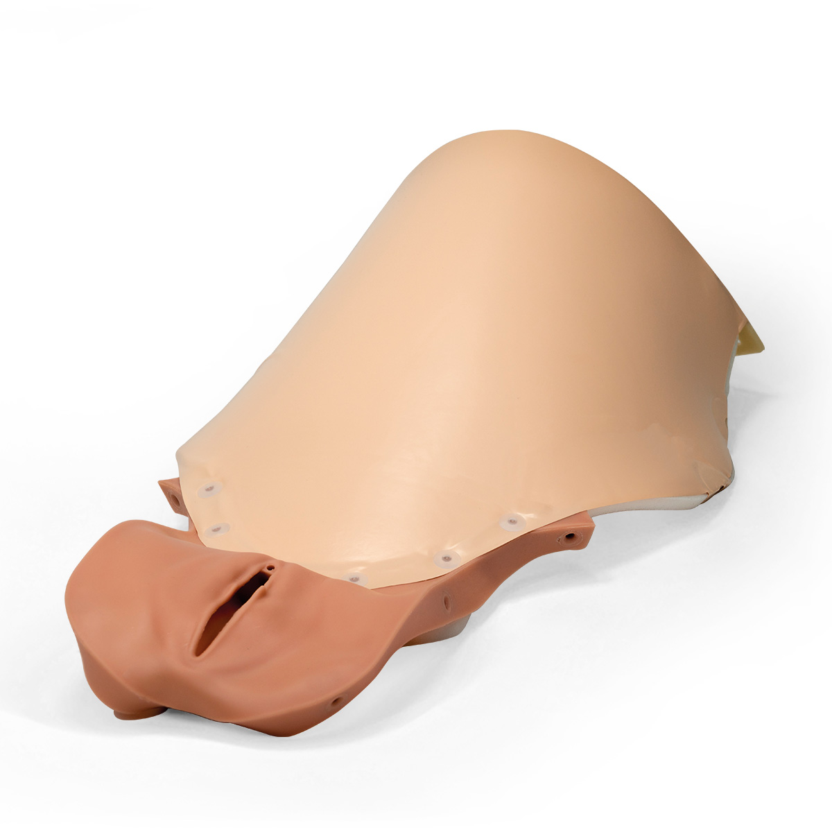 Vaginal del och bukskydd för PPH-tränare P97