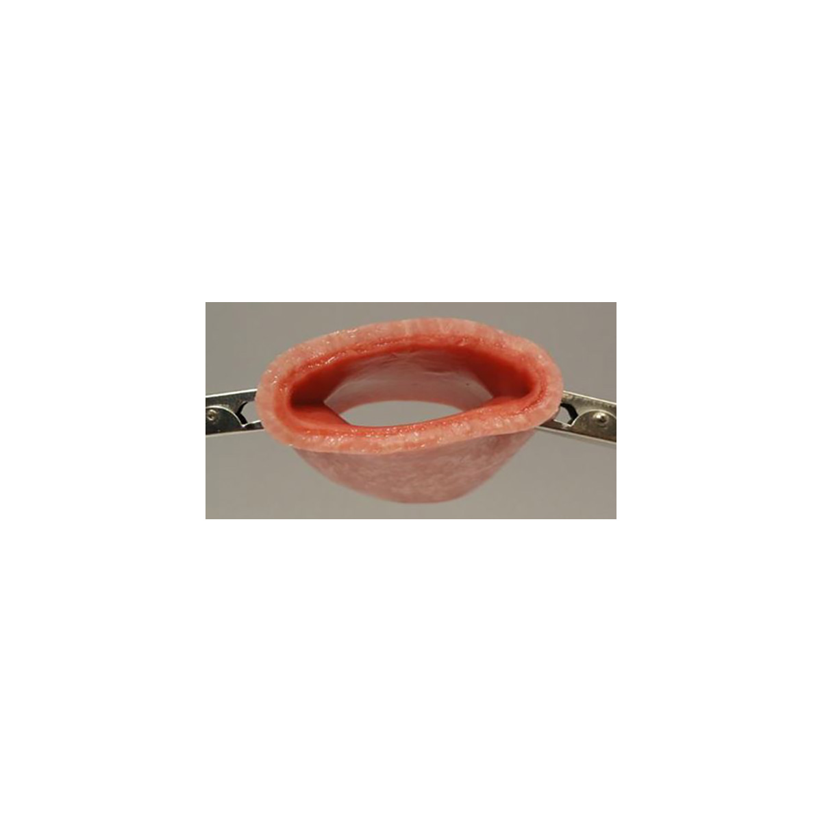 Vaginal cuff (2″ wet)