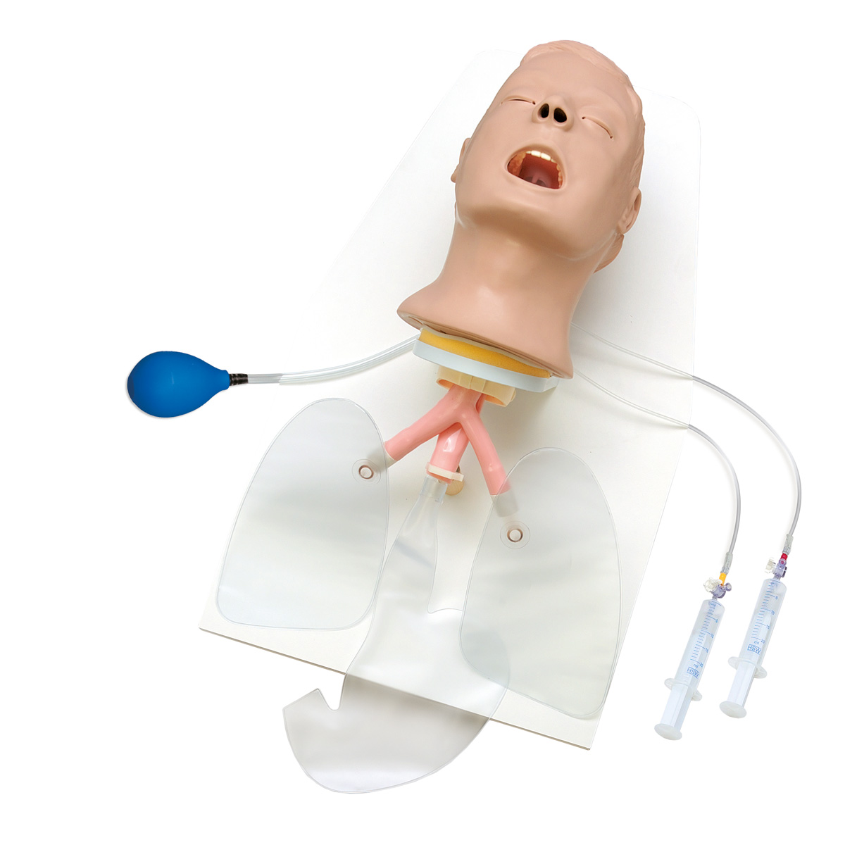 Tränare Avancerad ”Airway Larry” – Huvud på bottenplatta