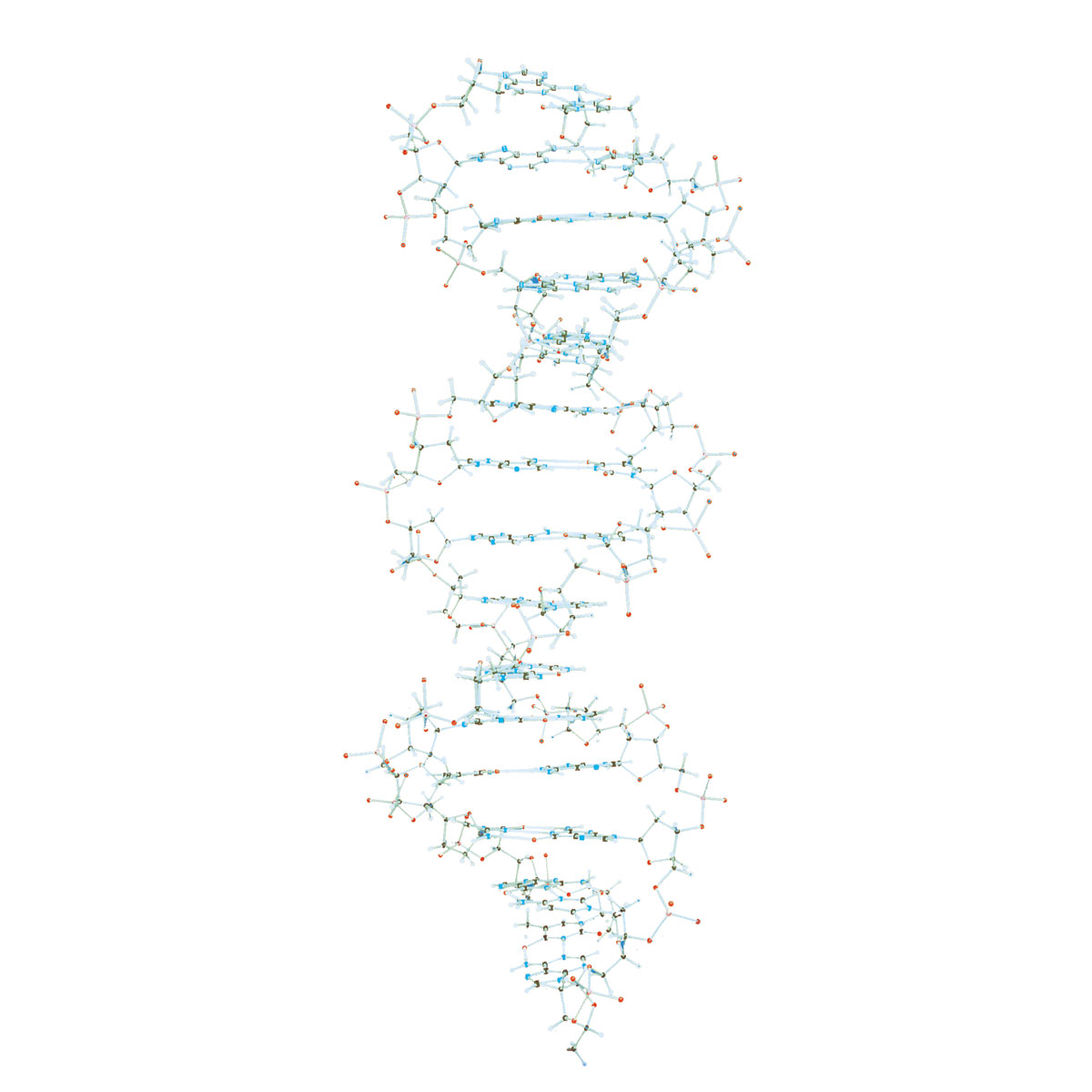 DNA-modell