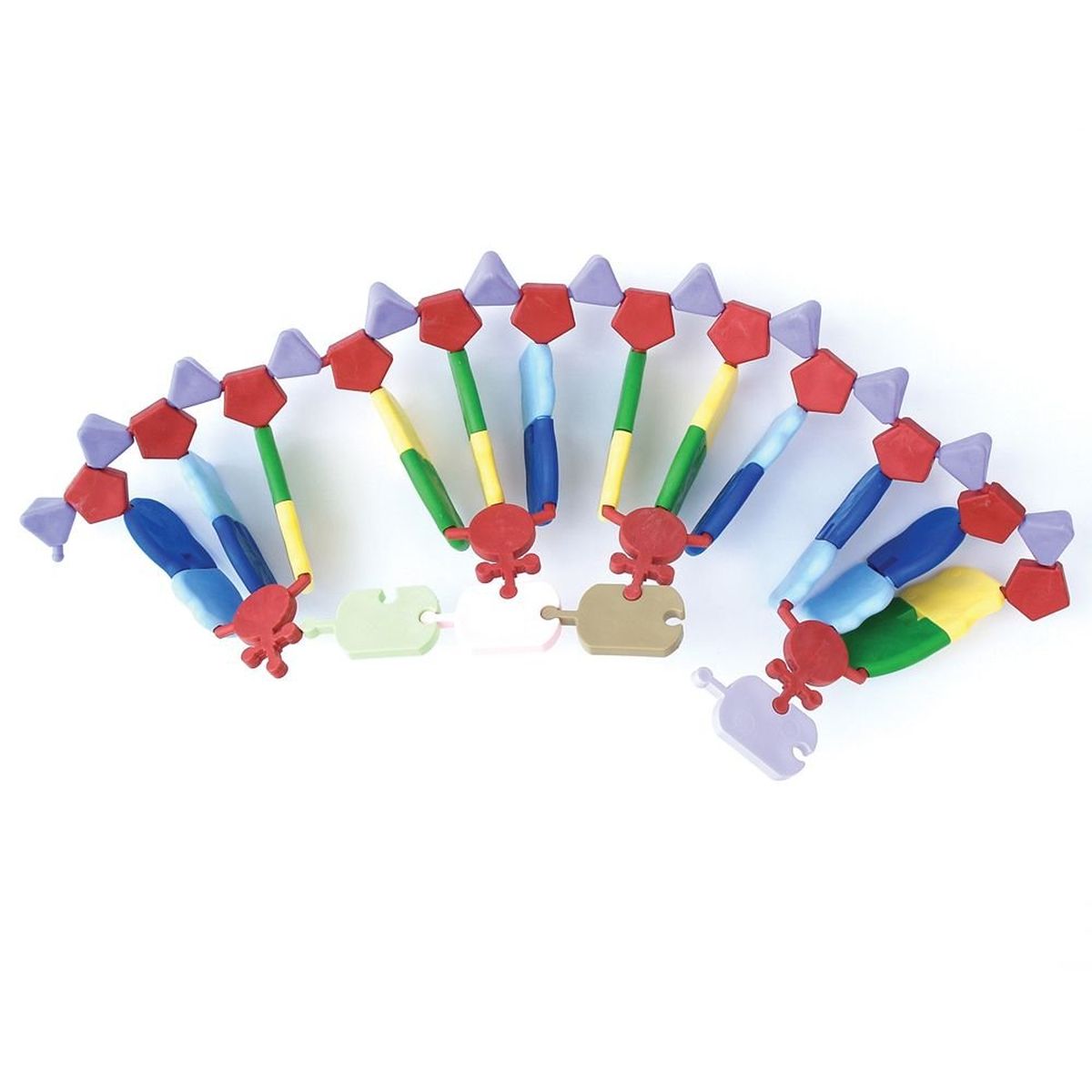 RNA-modell, 24 baser, miniDNA® sats