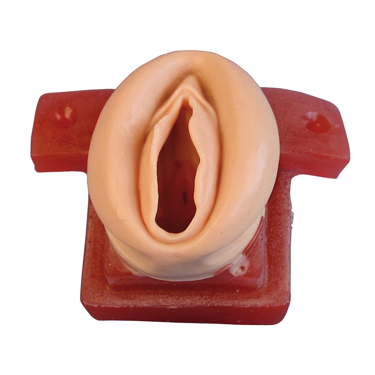 Vulva – 1005173
