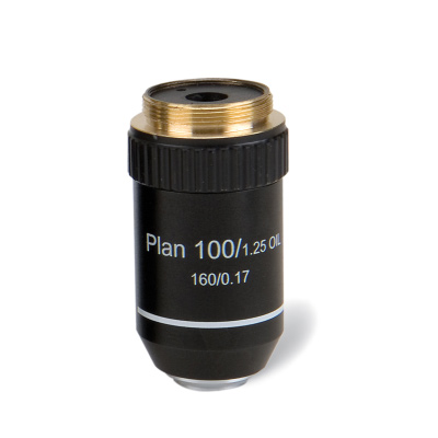 Achromatic Objective 100x (oil)