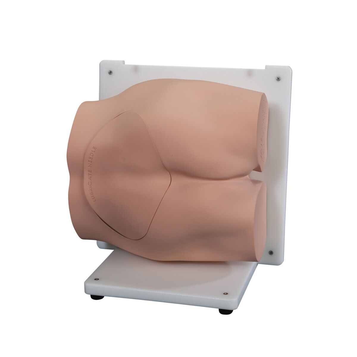 Bonnie Bone Marrow Biopsy Skills Trainer™