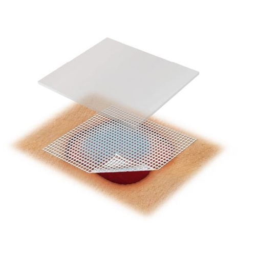 Salvkompress Lomatuell Pro – 10x20cm – 10 st