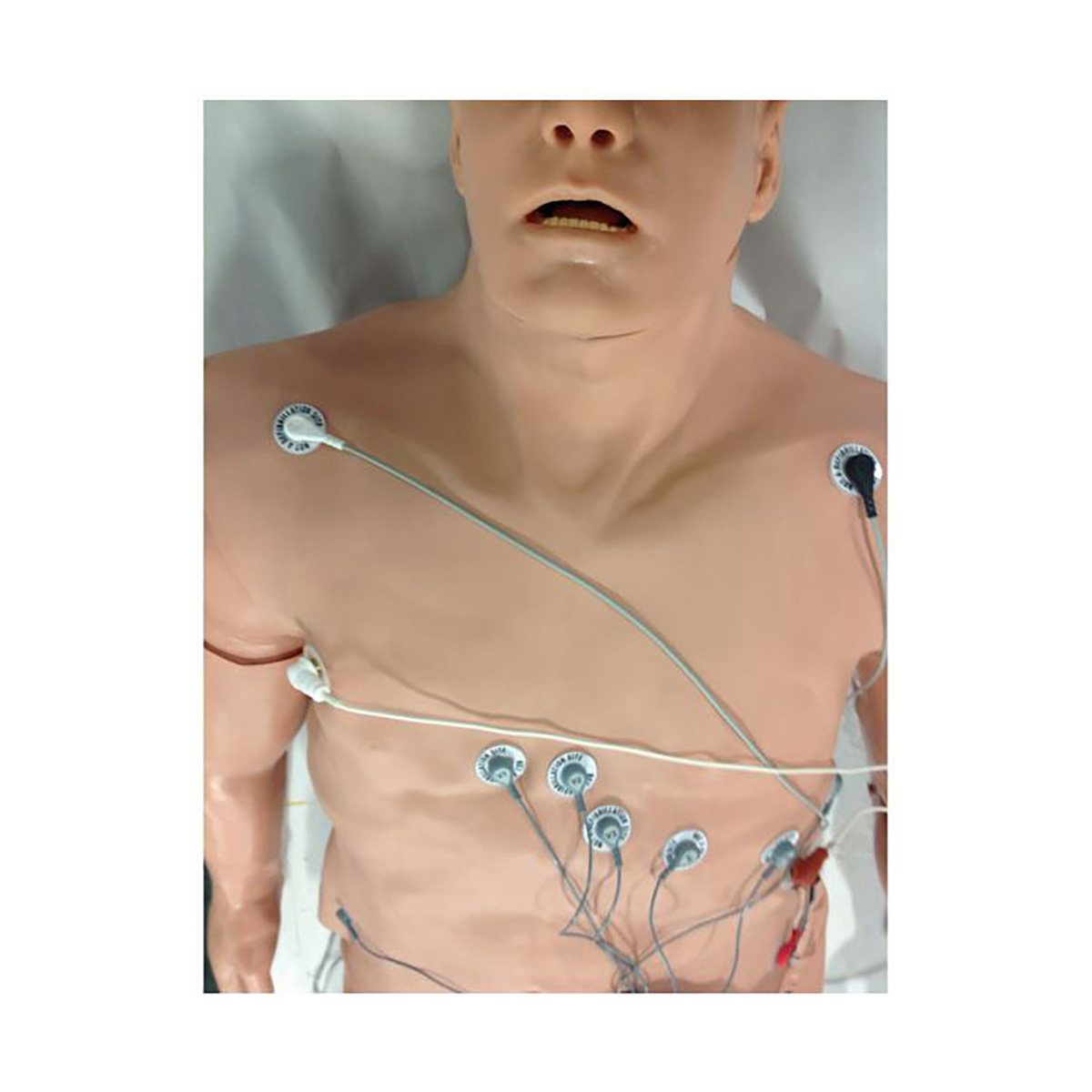 Simulator 12-leders arytmi med överlappande modelldocka – Zoll, stor