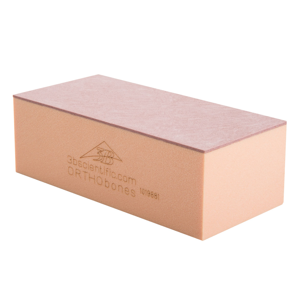 ORTHObones Biomekaniska Testklossar 30 PCF – CP1