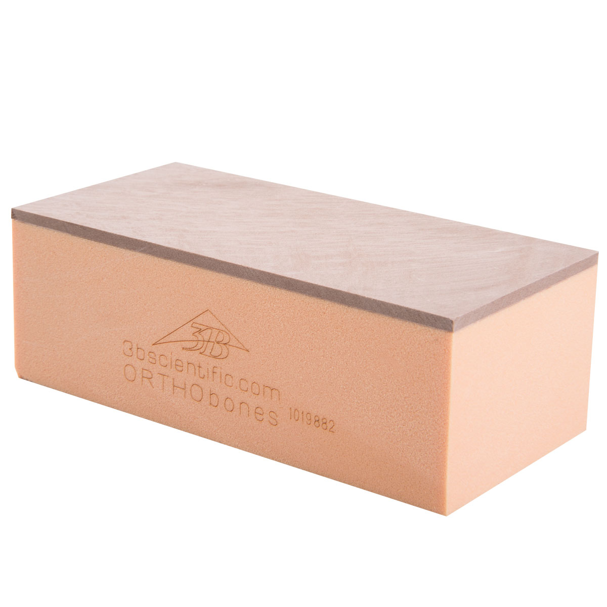 ORTHObones Biomekaniska Testklossar 30 PCF – CP2