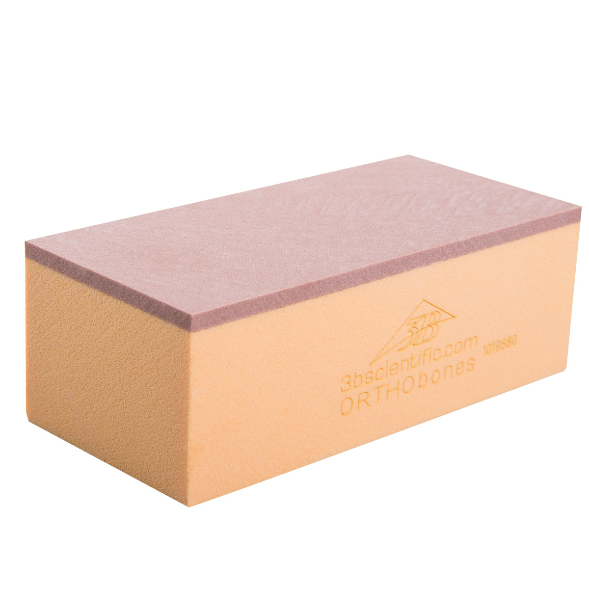 ORTHObones Biomekaniska Testklossar 20 PCF – CP3