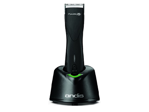 Pulse ZR II