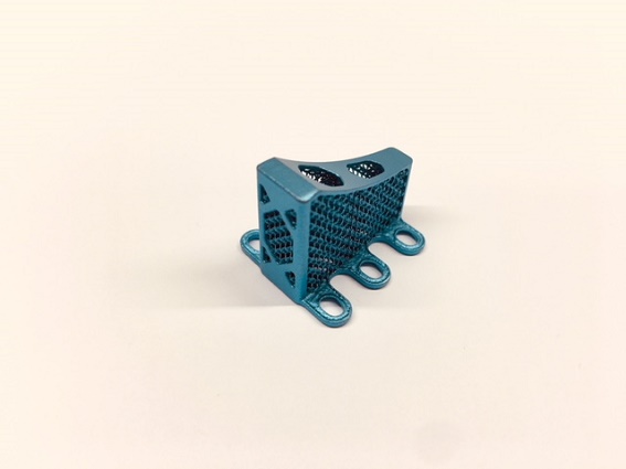 TTA Rapid Cage TTA Rapid Cage
