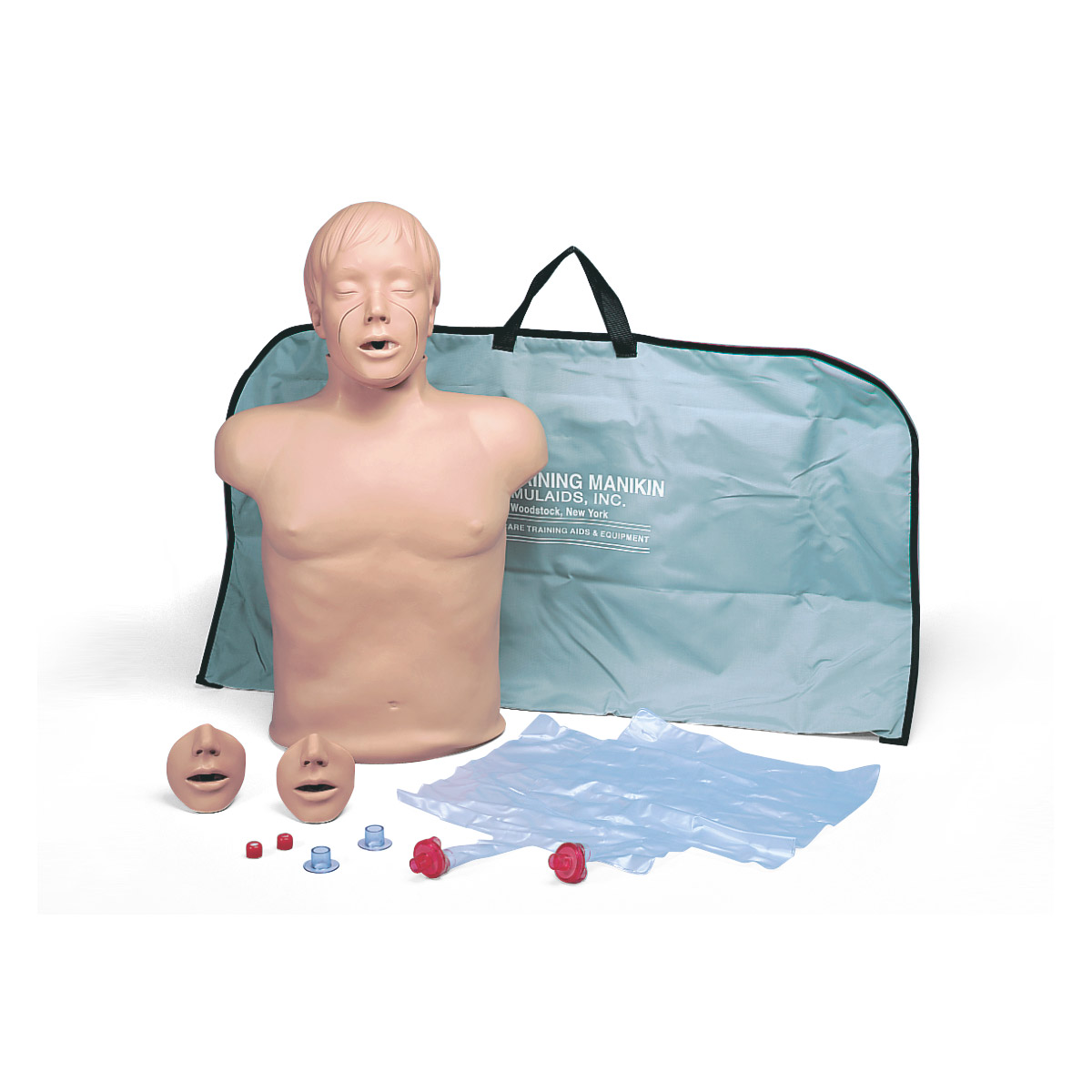 HLR-torso