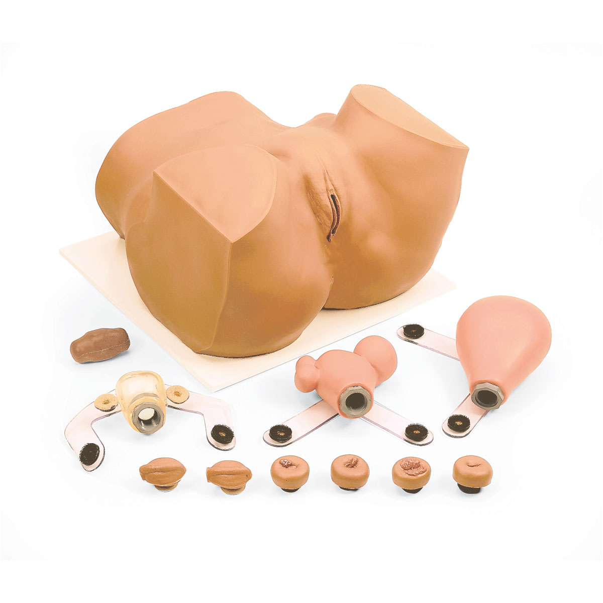 Gynekologisimulator – EVA