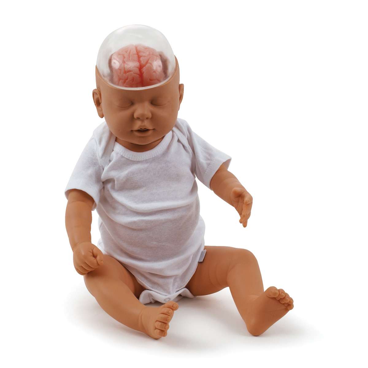 Shaken baby syndrome (SBS) – Modell för demonstration