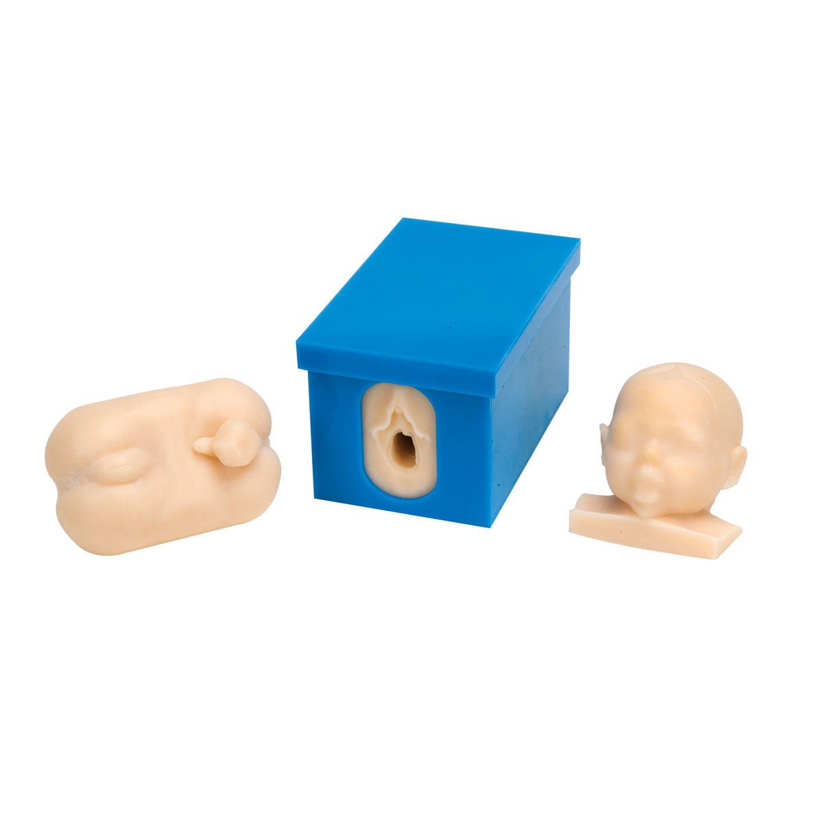 Fosterkontroll – Modellset