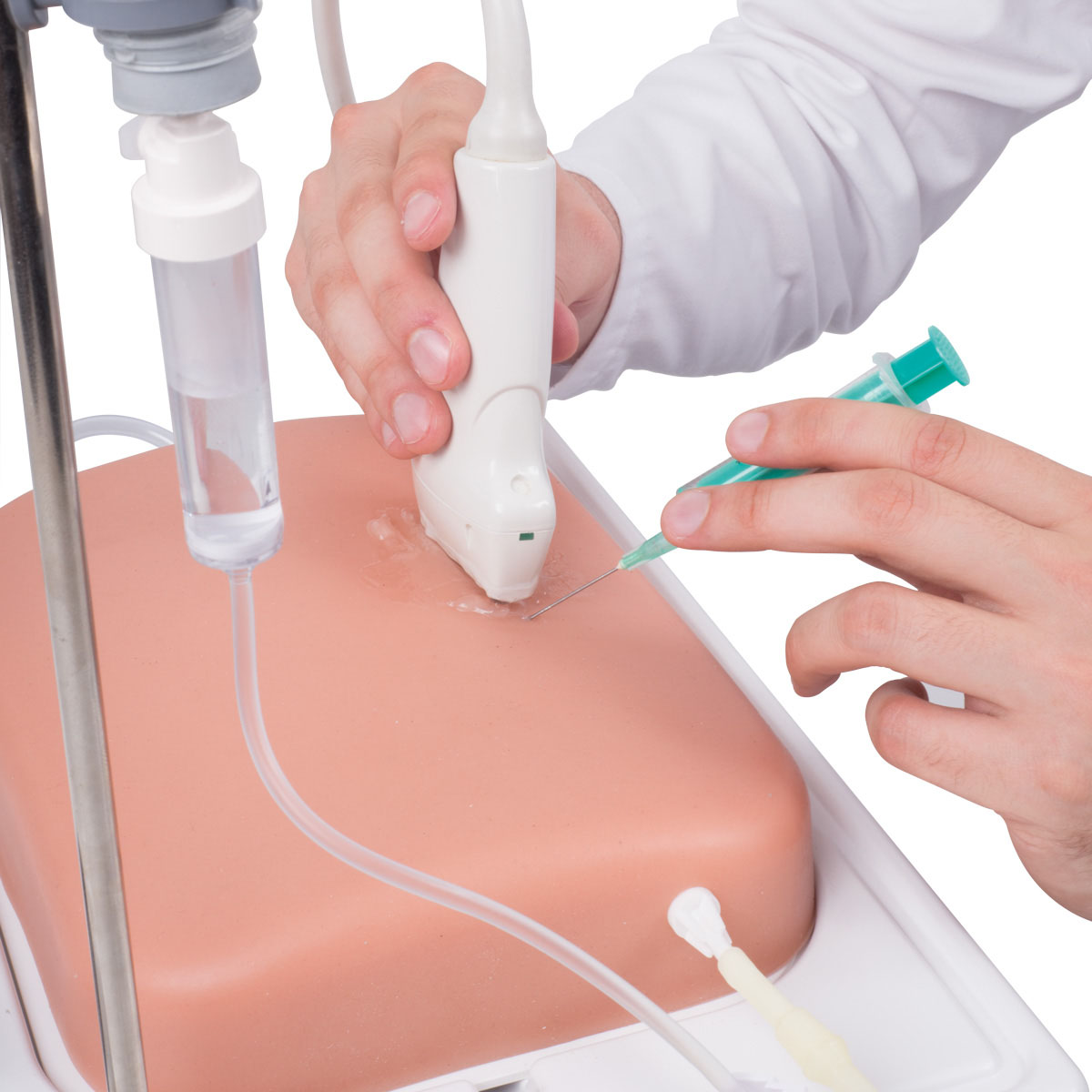 SONOtrain™ Ultraljudsmodell – Vener
