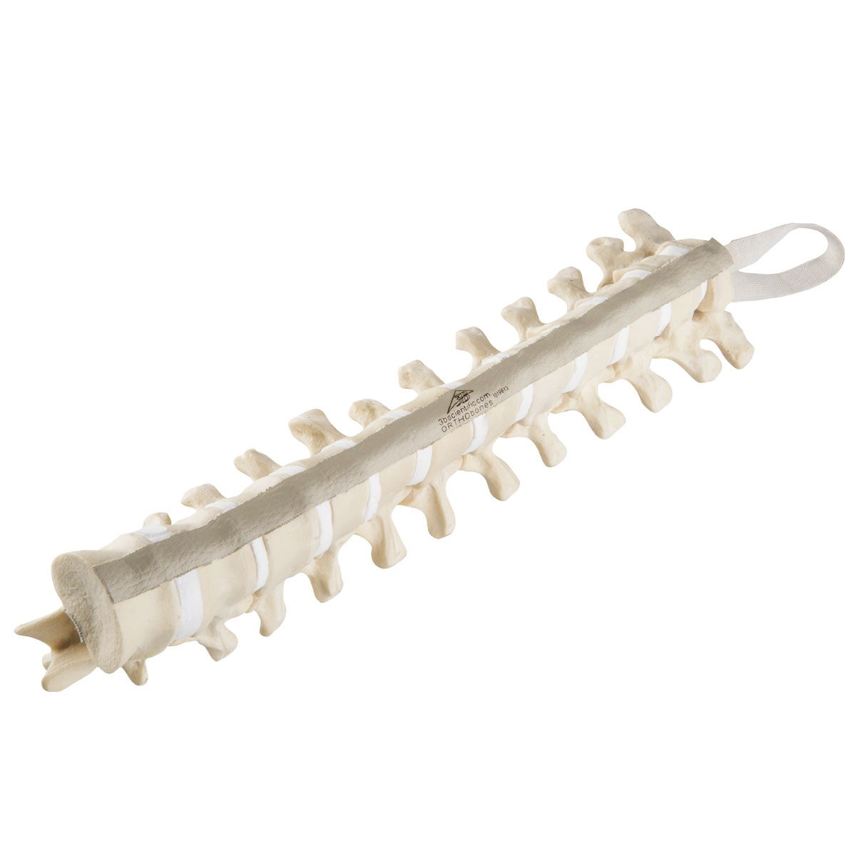 Hjärtkota – ORTHObones Premium