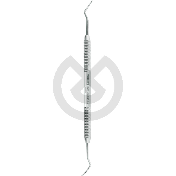 Mini Scaler Crane-Kaplan ASA – ASA DENTAL