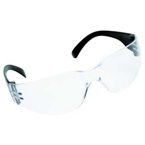 Skyddsglasögon Worksafe Cheetah  – Worksafe Cheetah transp