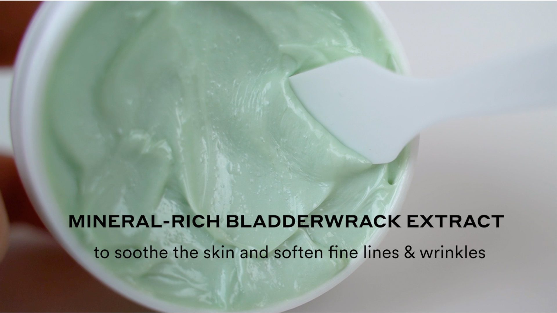 Seaweed Night Cream