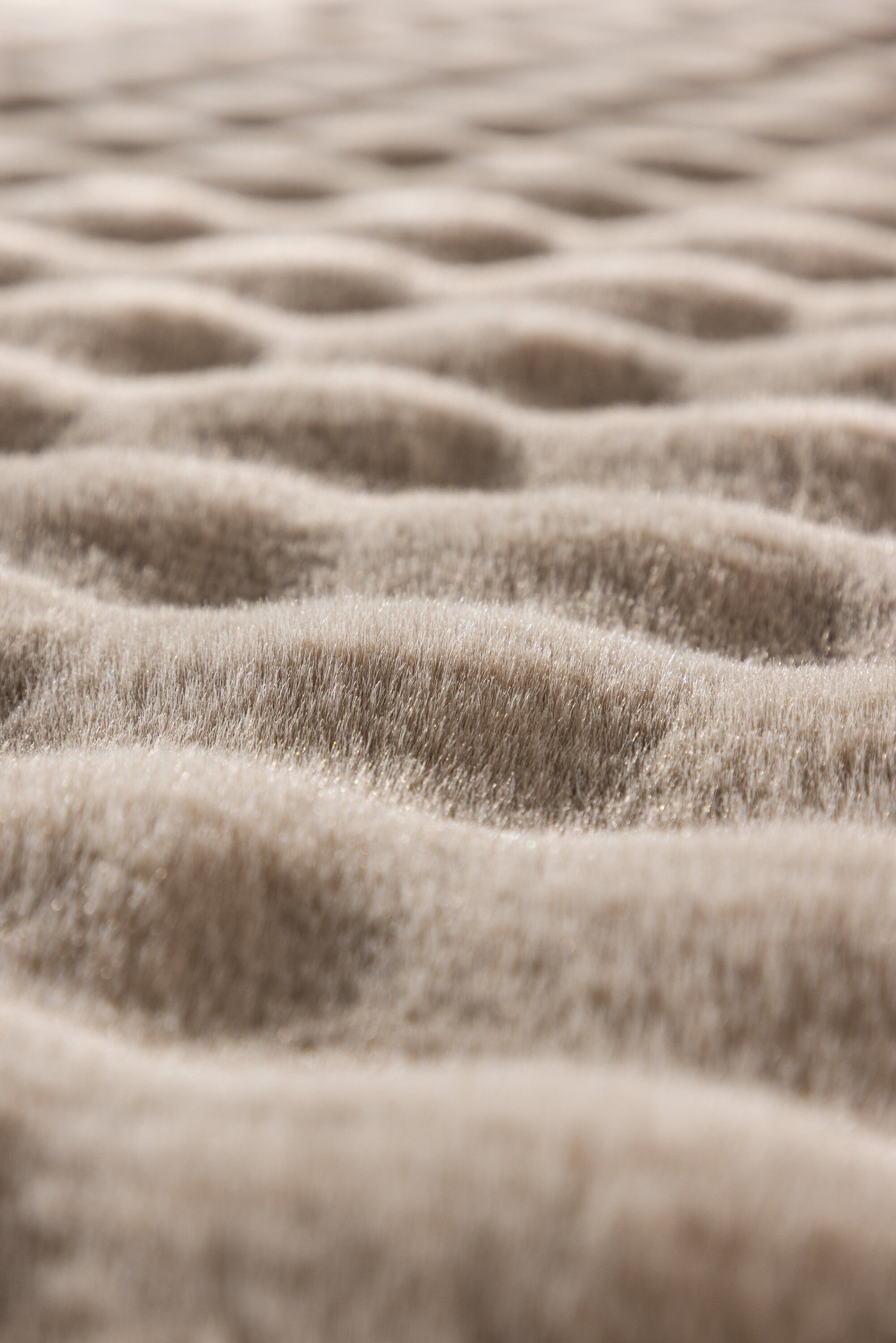 deLOHN Novis Nappali szőnyegek