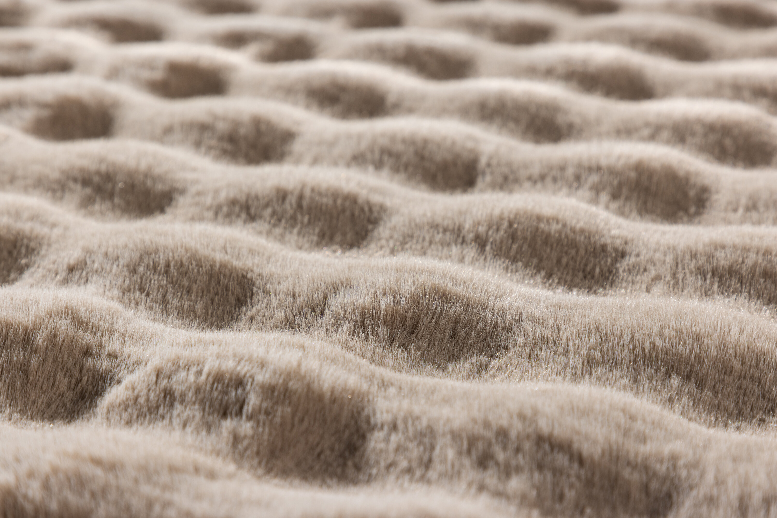 deLOHN Novis Nappali szőnyegek