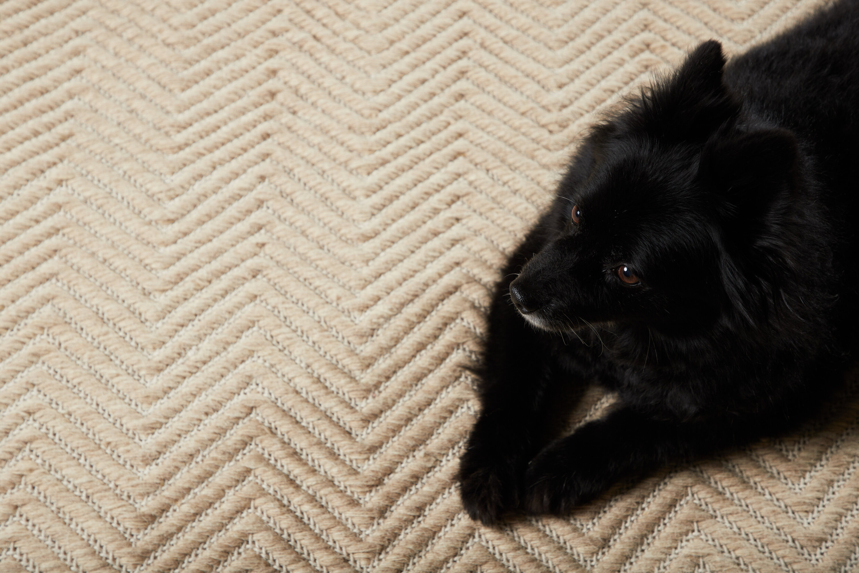 deLOHN Loke Nappali szőnyegek