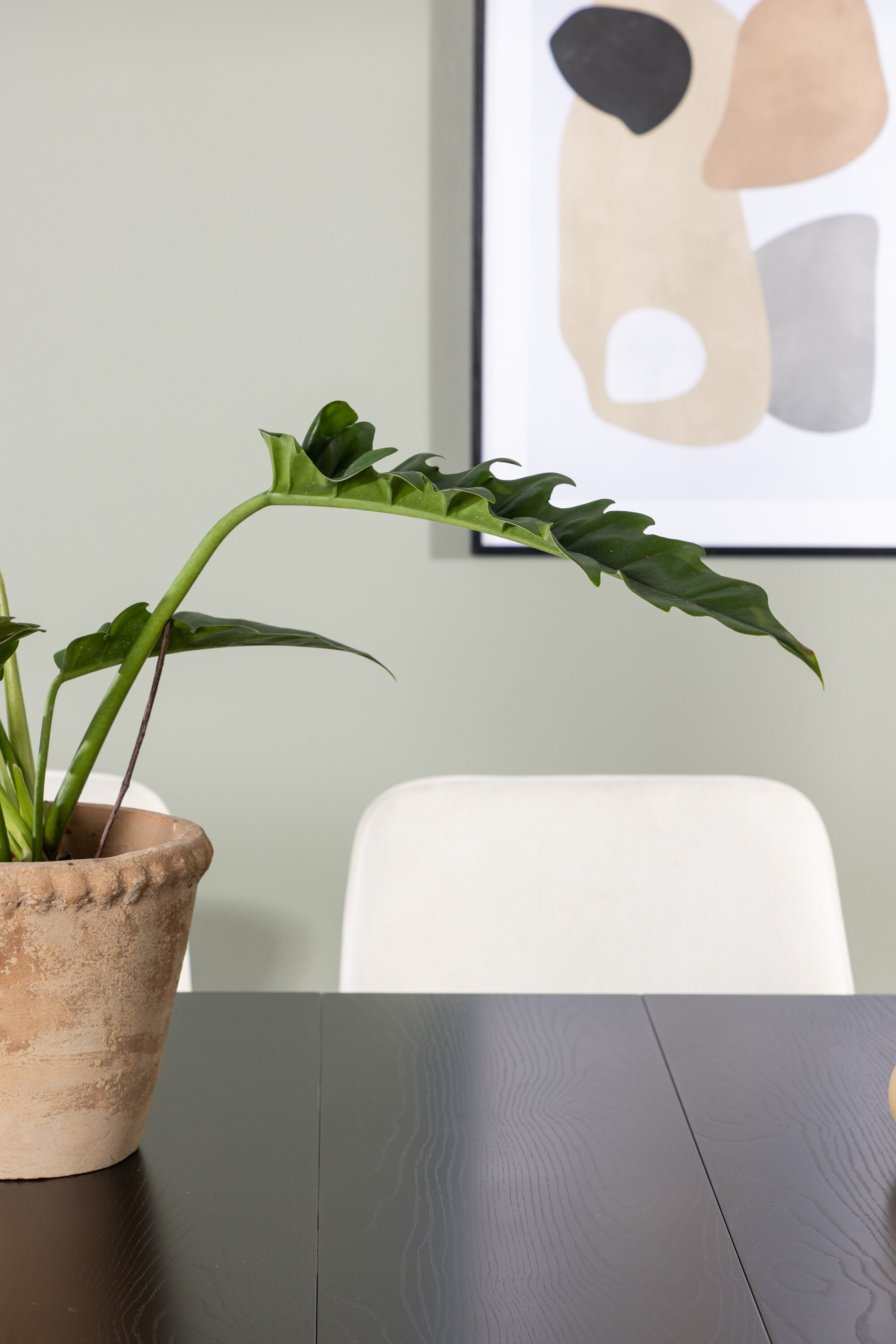 deLOHN Rosie Téglalap alakú étkezőgarnitúra