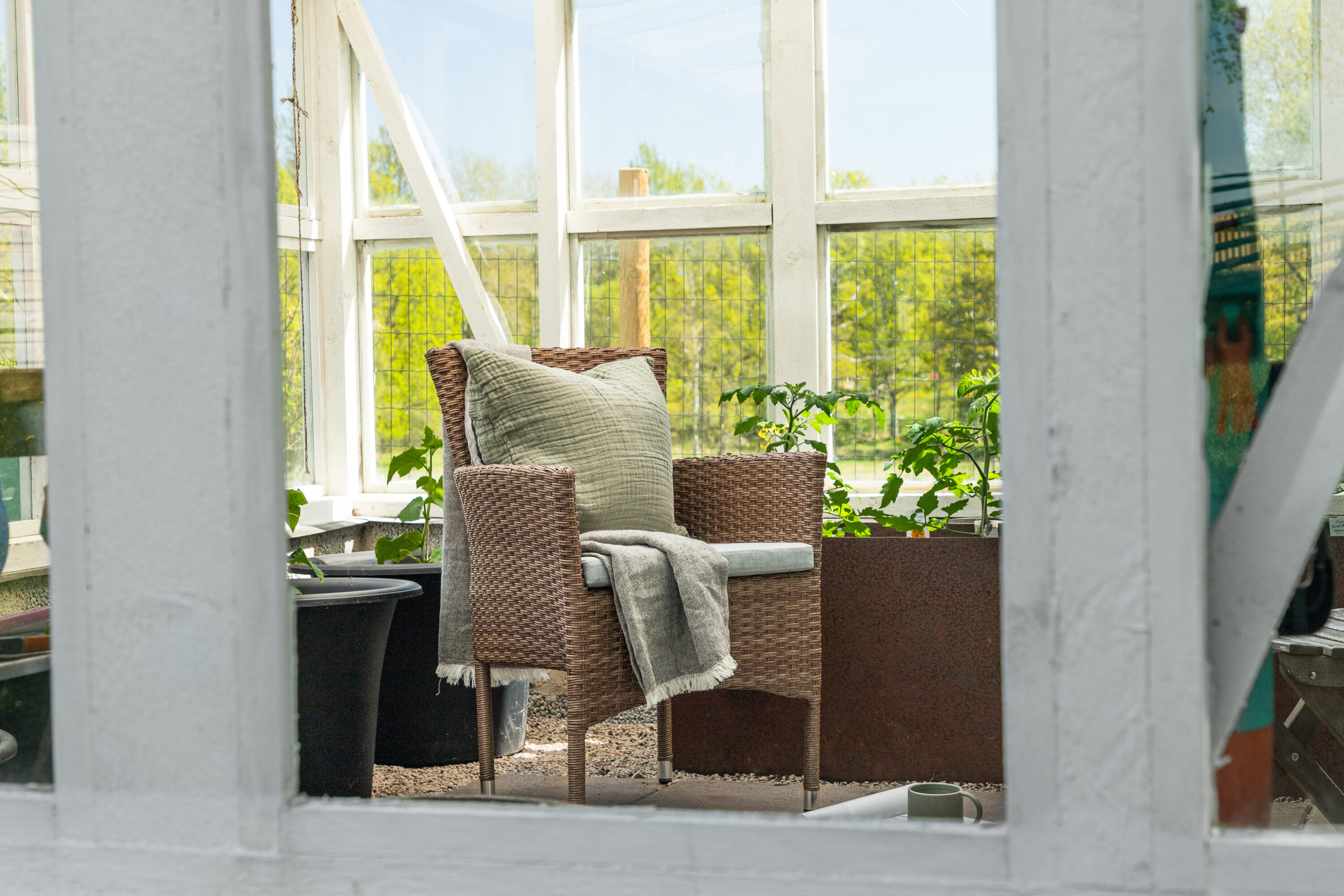 deLOHN Malina Étkezőszék