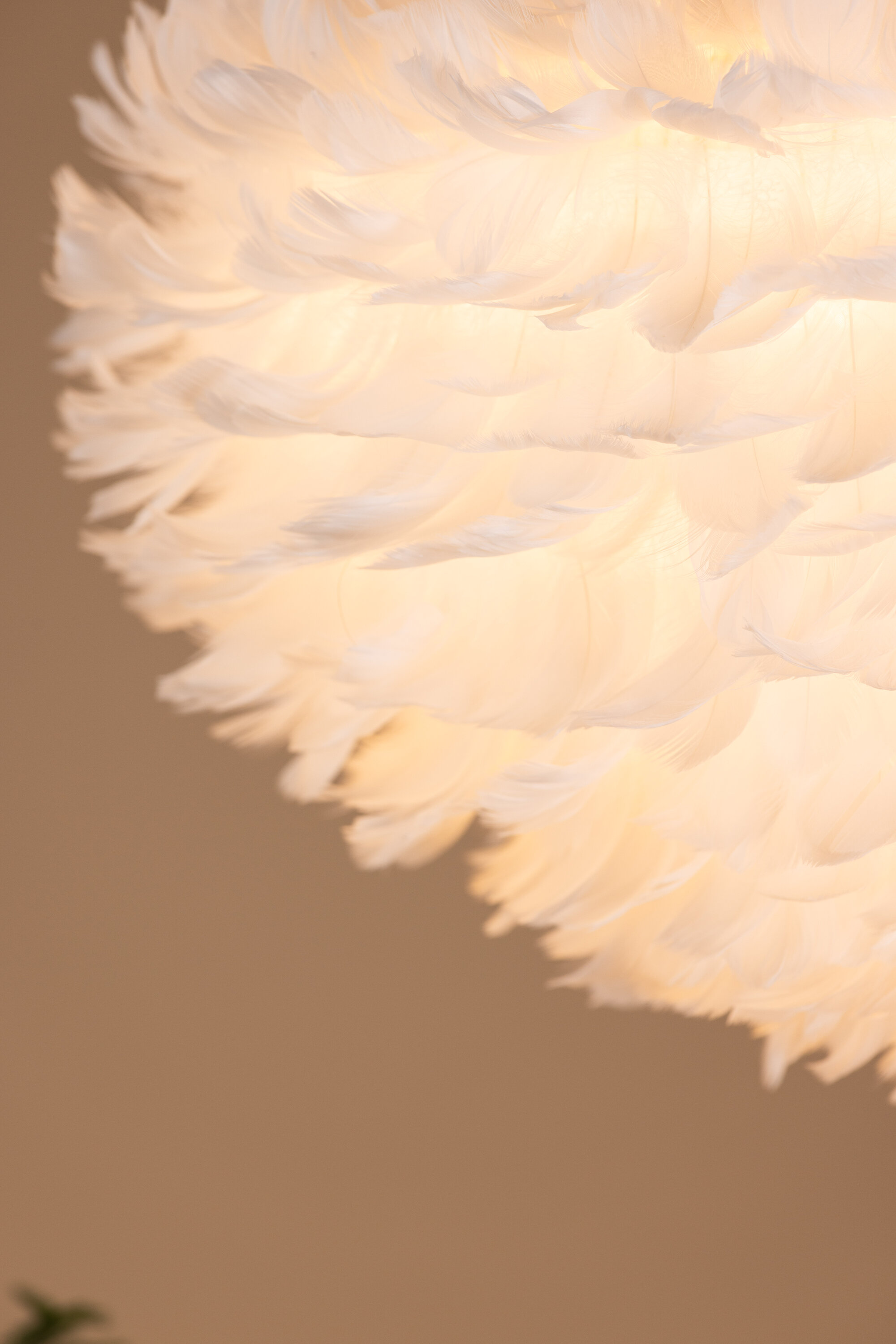 deLOHN Nicola Csillár / függőlámpa