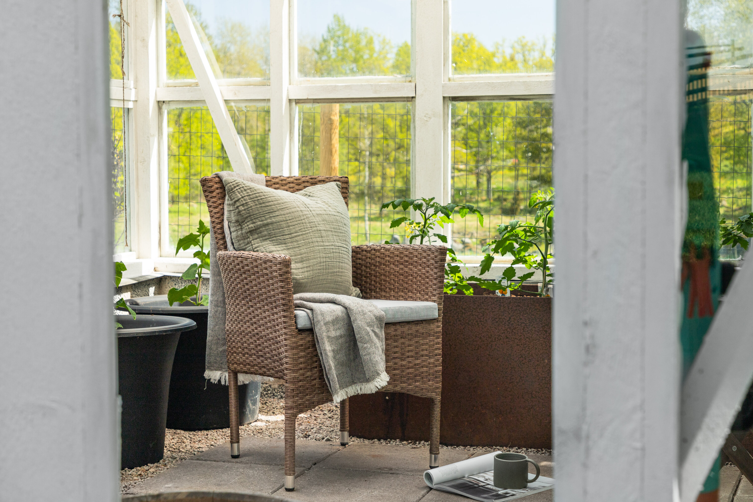 deLOHN Malina Étkezőszék