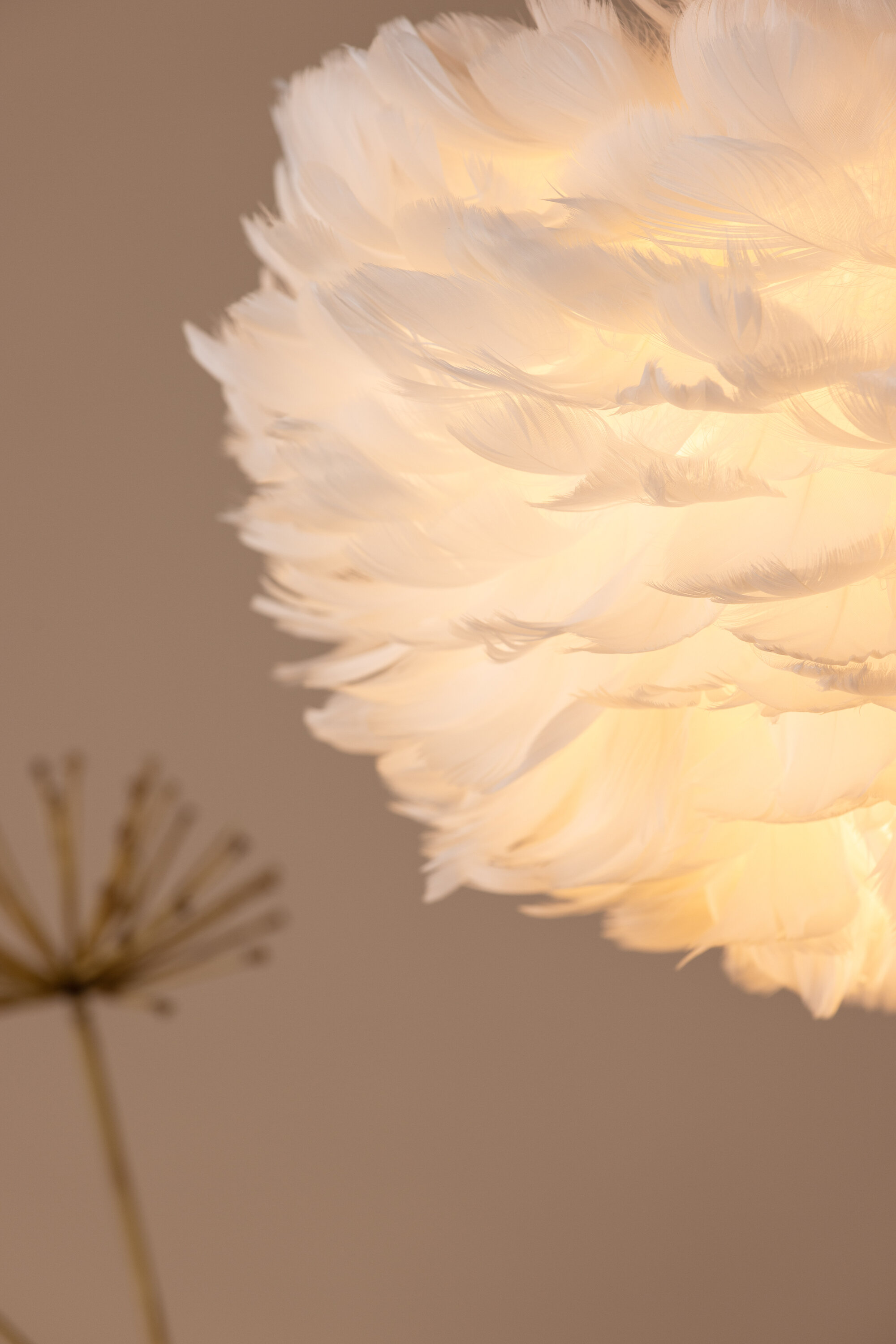 deLOHN Nicola Csillár / függőlámpa