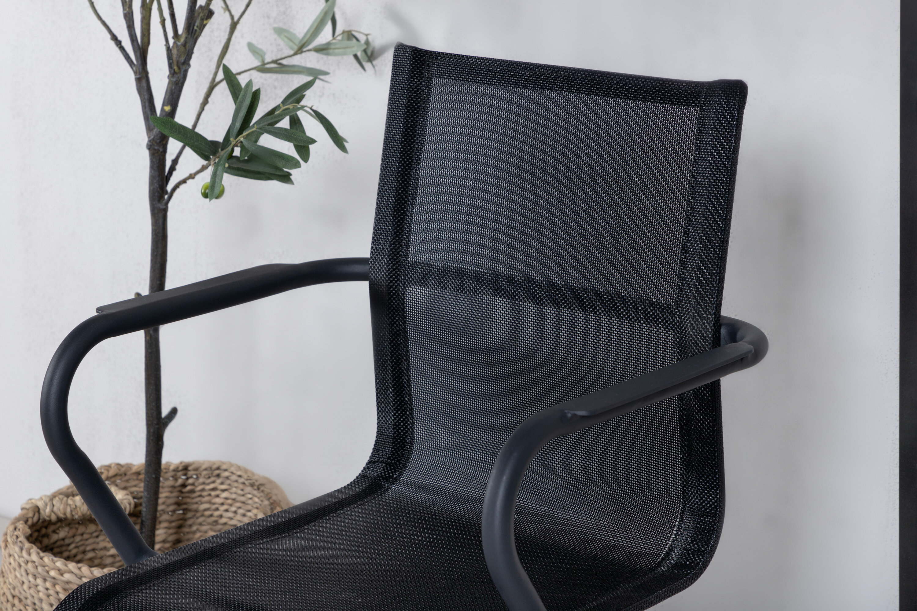 deLOHN Alina Étkezőszék