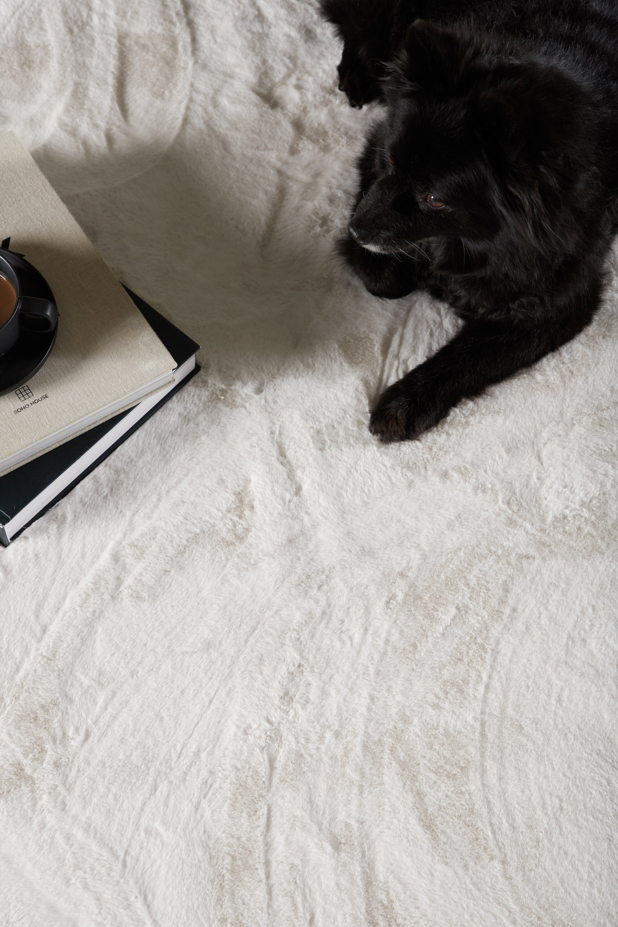 deLOHN Nina Nappali szőnyegek