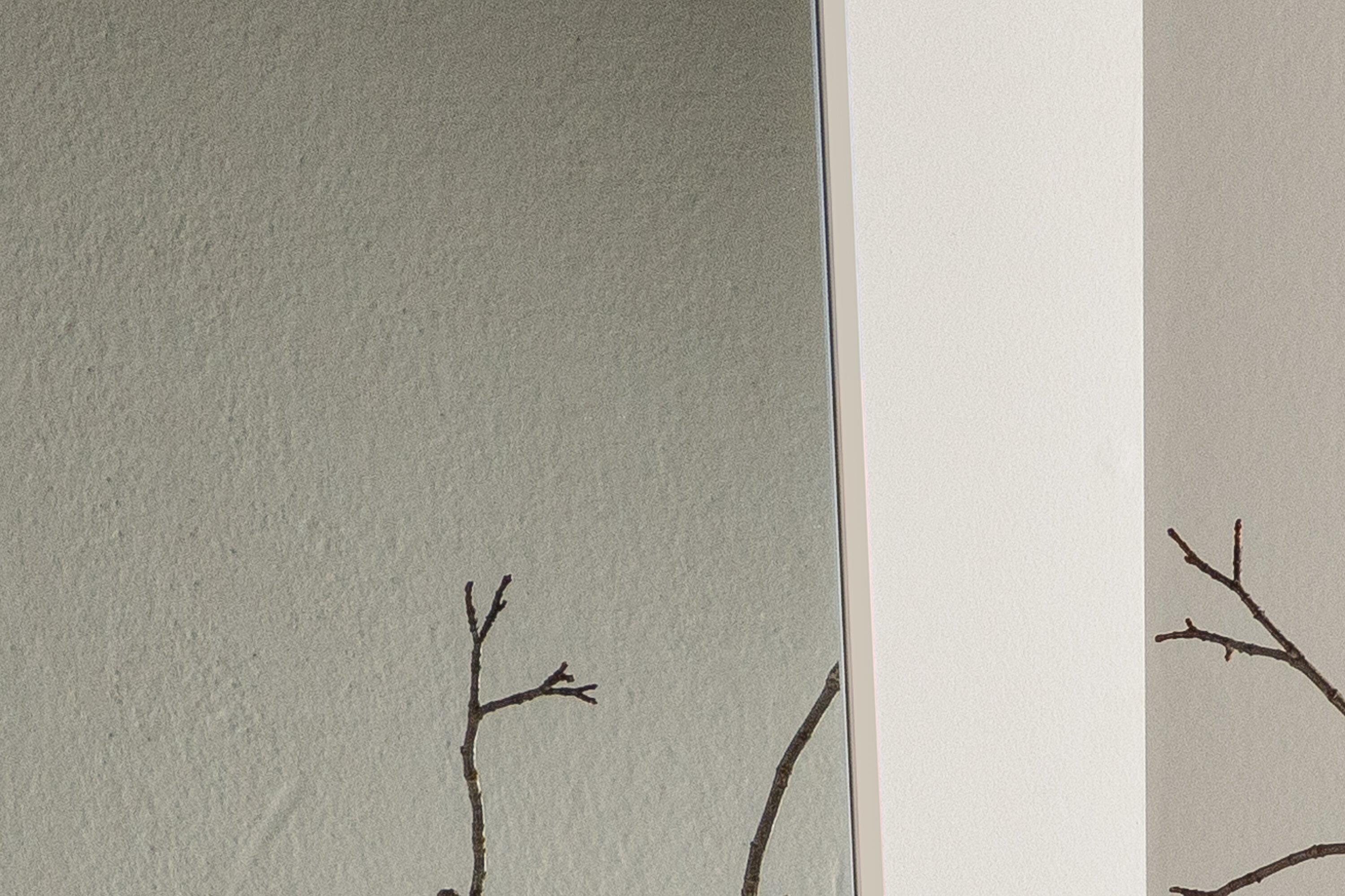 deLOHN Orlando Nagy tükör