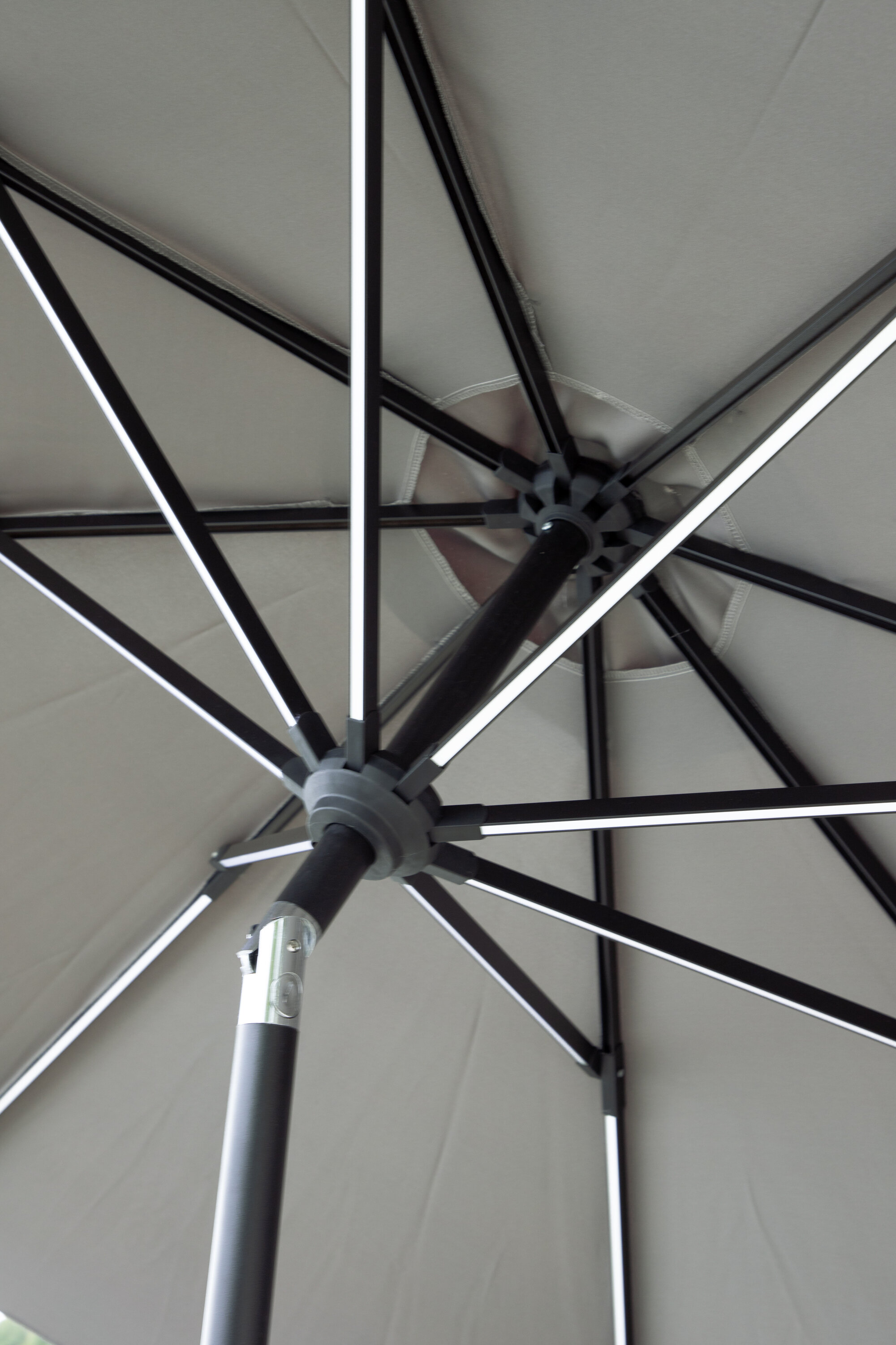 deLOHN Sabal Napernyő