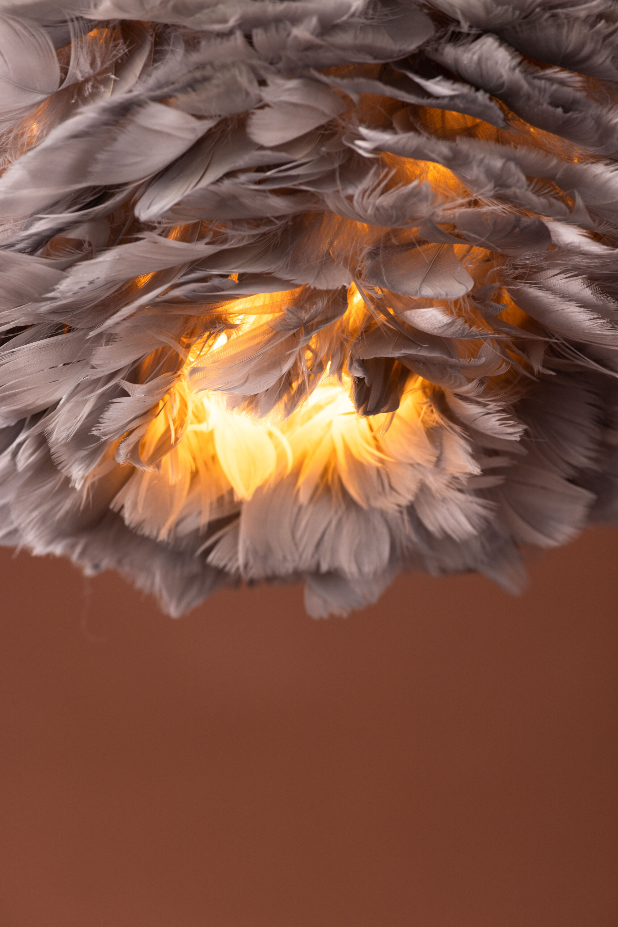 deLOHN Nicola Csillár / függőlámpa